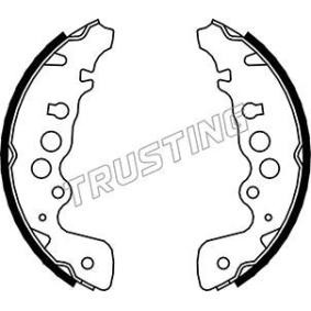 Bremsbackensatz 111.243 von TRUSTING günstig für 84,29 € online kaufen