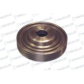 Acquista Puleggia cinghia albero a gomiti da TRICLO 428126 a buon mercato per soli 62,96 €