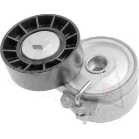 Riemenspanner, Keilrippenriemen 601579 von AUTEX günstig für 60,29 € online kaufen