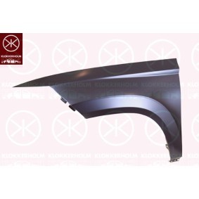Compre Farol de nevoeiro de KLOKKERHOLM online para CLIO I Caixa (S57_) a preços moderados