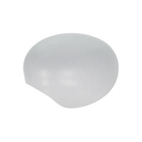 Compre Caixa, espelho exterior da BLIC 6103-05-2001841P a um preço baixo por 32,34 €