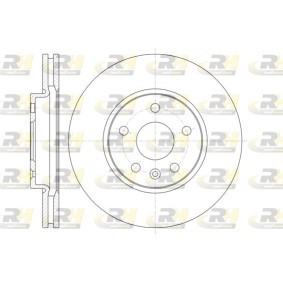 Bremsscheibe 61313.10 von ROADHOUSE günstig für 62,43 € online kaufen