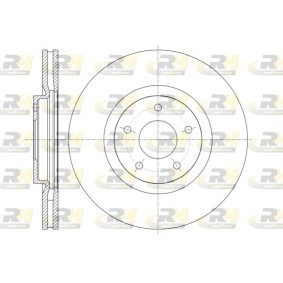 Bremsscheibe 61349.10 von ROADHOUSE günstig für 73,18 € online kaufen