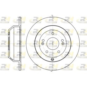 Bremsscheibe 61373.00 von ROADHOUSE günstig für 61,09 € online kaufen