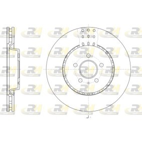 Bremsscheibe 61493.10 von ROADHOUSE günstig für 75,41 € online kaufen