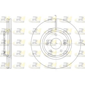 Bremsscheibe 61514.10 von ROADHOUSE günstig für 74,76 € online kaufen