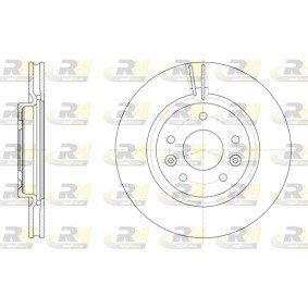 Bremsscheibe 61581.10 von ROADHOUSE günstig für 61,53 € online kaufen