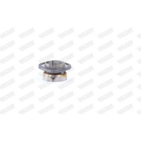 Osta Pakoputki WALKER:llä 09967 edullisesti hintaan 26,09 €