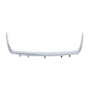 Achetez des Baguette et bande protectrice, grille de radiateur BLIC 6502-07-6825993P à prix pour 82,17 €