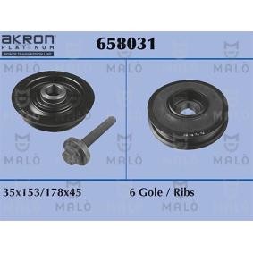 Achetez des Poulie damper (vilebrequin) MALÒ 658031 à prix pour 109,65 €