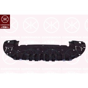 Blinker 66070362 von KLOKKERHOLM günstig für 13,93 € online kaufen