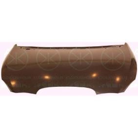 Motorhaube 6613280A1 von KLOKKERHOLM günstig für 250,11 € online kaufen