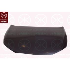 Motorhaube 6621281A1 von KLOKKERHOLM günstig für 353,15 € online kaufen
