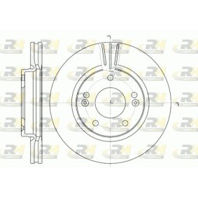 Bremsscheibe 6667.10 von ROADHOUSE günstig für 87,17 € online kaufen