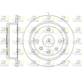 Bremsscheibe 6876.00 von ROADHOUSE günstig für 47,00 € online kaufen
