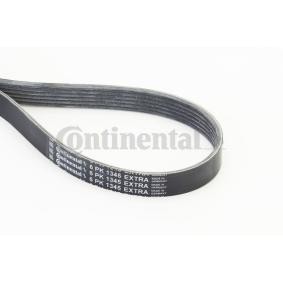 Compre Correia do alternador de CONTITECH online para Tonale (965) a preços moderados