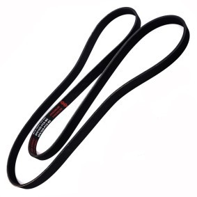 Compre Correia do alternador de MASTER-SPORT online para TAURUS (P5_) a preços moderados