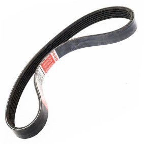 Keilrippenriemen 6PK675-PCS-MS von MASTER-SPORT günstig für 6,75 € online kaufen