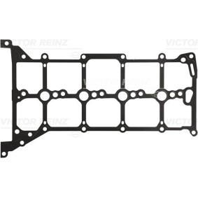 Ventildeckeldichtung 71-12662-00 FORD USA von REINZ