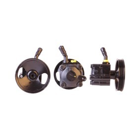 Servopumpe 715520292 von DRI günstig für 153,73 € online kaufen