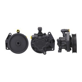 Servopumpe 715520845 von DRI günstig für 204,84 € online kaufen