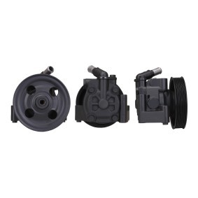 Acquista Pompa idraulica, sterzo da DRI 715521087 a buon mercato per soli 253,08 €