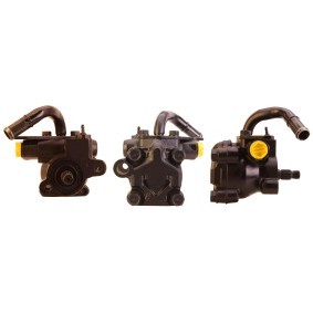 Acquista Pompa idraulica, sterzo da DRI 715521302 a buon mercato per soli 160,17 €