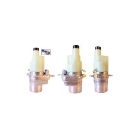 Acquista Pompa idraulica, sterzo da DRI 719520348 a buon mercato per soli 310,61 €