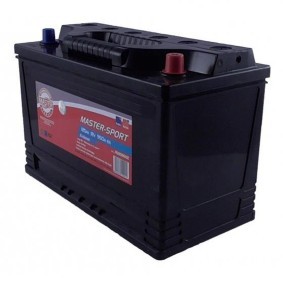 Batterie 761259502 von MASTER-SPORT günstig für 163,22 € online kaufen