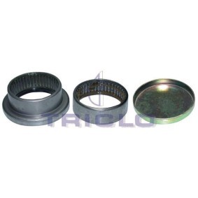 Compre Kit de reparación del brazo de suspensión de TRICLO online para 205 I Descapotable (741B, 20D) a precios moderados
