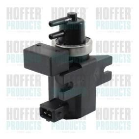 Druckwandler, Turbolader 8029474 von HOFFER günstig für 55,04 € online kaufen