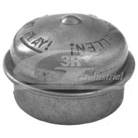 Schutzdeckel, Radnabe von 3RG