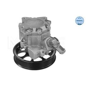 Servopumpe 814 631 0007 SAAB von MEYLE