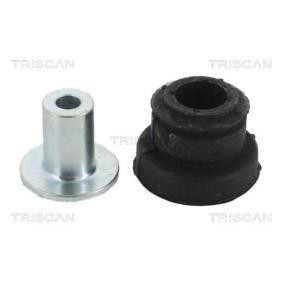 Acquista Supporto braccio oscillante da TRISCAN 8500 12808 a buon mercato per soli 11,11 €