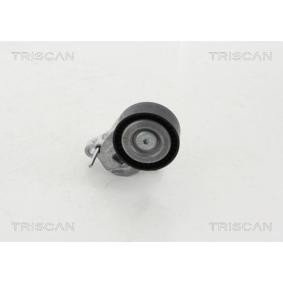 Spannrolle, Keilrippenriemen 8641 163023 von TRISCAN günstig für 85,65 € online kaufen