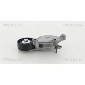 Spannrolle, Keilrippenriemen 8641 273006 von TRISCAN günstig für 85,87 € online kaufen