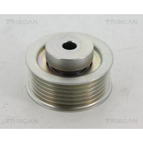 Umlenk- / Führungsrolle, Keilrippenriemen 8641 692006 von TRISCAN günstig für 122,61 € online kaufen