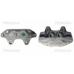 Riemenscheibe, Kurbelwelle 8643 10003a von TRISCAN günstig für 94,93 € online kaufen