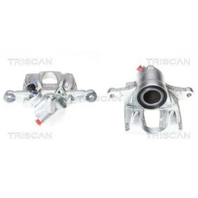 Riemenscheibe, Kurbelwelle 8643 25008a von TRISCAN günstig für 252,64 € online kaufen