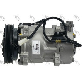 Compre Compressor, ar condicionado da TEAMEC 8645692 a um preço baixo por 191,81 €