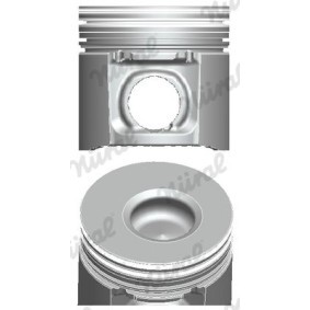 Compre Êmbolo da NÜRAL 87-122200-20 a um preço baixo por 97,25 €