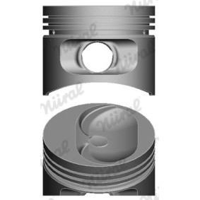 Achetez des Piston NÜRAL 87-269906-00 à prix pour 31,78 €
