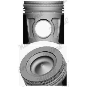 Compre Êmbolo da NÜRAL 87-434100-00 a um preço baixo por 208,99 €