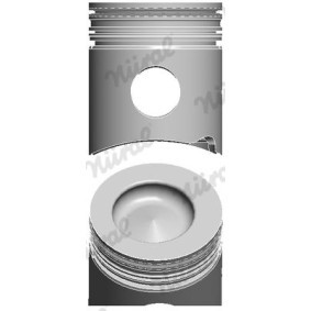 Compre Êmbolo da NÜRAL 87-783000-15 a um preço baixo por 260,70 €