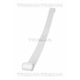 Federpaket für VAUXHALL von TRISCAN