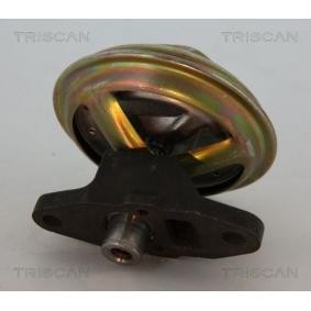 AGR-Ventil von TRISCAN