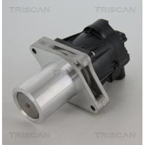 AGR-Ventil 8813 24205 von TRISCAN günstig für 288,82 € online kaufen