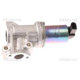 AGR-Ventil 8813 43001 von TRISCAN günstig für 189,16 € online kaufen