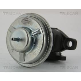 AGR-Ventil 8813 43003 von TRISCAN günstig für 82,71 € online kaufen