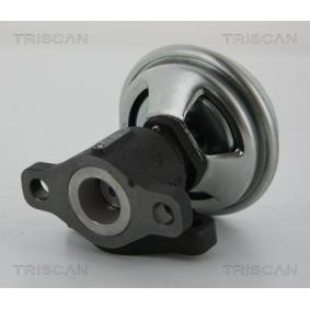 AGR-Ventil 8813 43005 von TRISCAN günstig für 99,15 € online kaufen